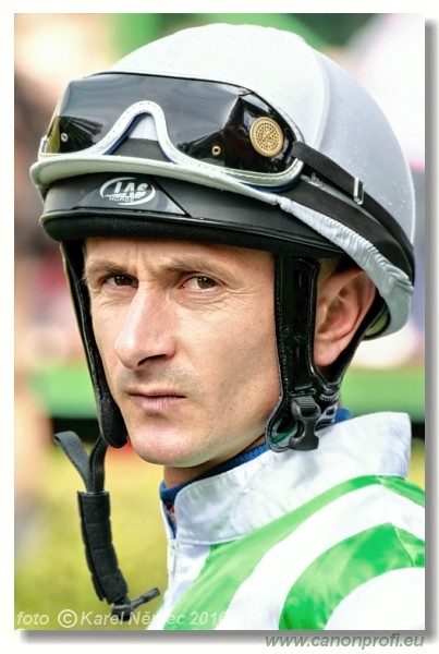 Jazdci A-Z Rider