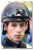 Laube Martin - 2015