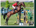 DRIANDRIA - BUCCI Piergiorgio, ITA