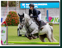 Amateur Tour 115 cm