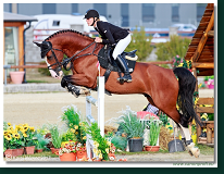 Malokarpatský strapec CSI2* - Middle Tour
