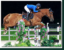 29th July 2017 - Winning Round 150 cm