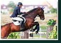 COMPAGNERO RS - SABO Dusan, SVK