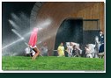 watering
