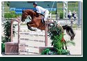 CIGAN Jan Jun., SVK - KZOOM VAN DE WITTEMOERE