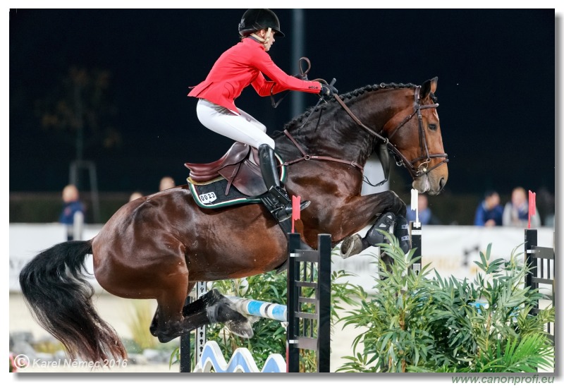 Šamorín CSI2* - Silver Tour Final