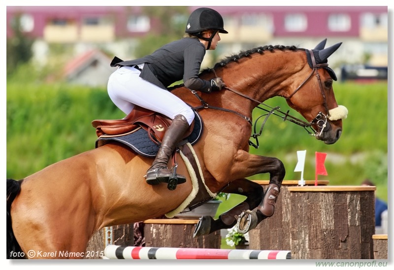 CSI2* - Grand Prix