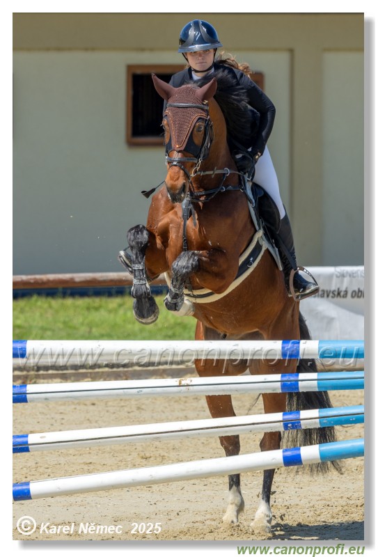 Roz�lka Grand Prix 2025 - 1. kolo  -  115cm