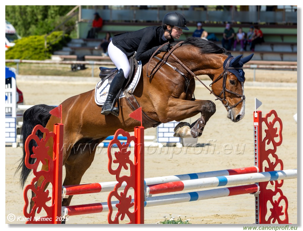 Roz�lka Grand Prix 2025 - 1. kolo  -  115cm