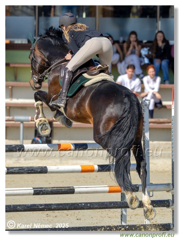 Roz�lka Grand Prix 2025 - 1. kolo  -  125cm