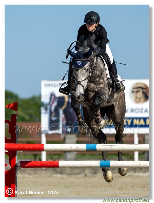 Roz�lka Grand Prix 2025 - 1. kolo  -  130cm