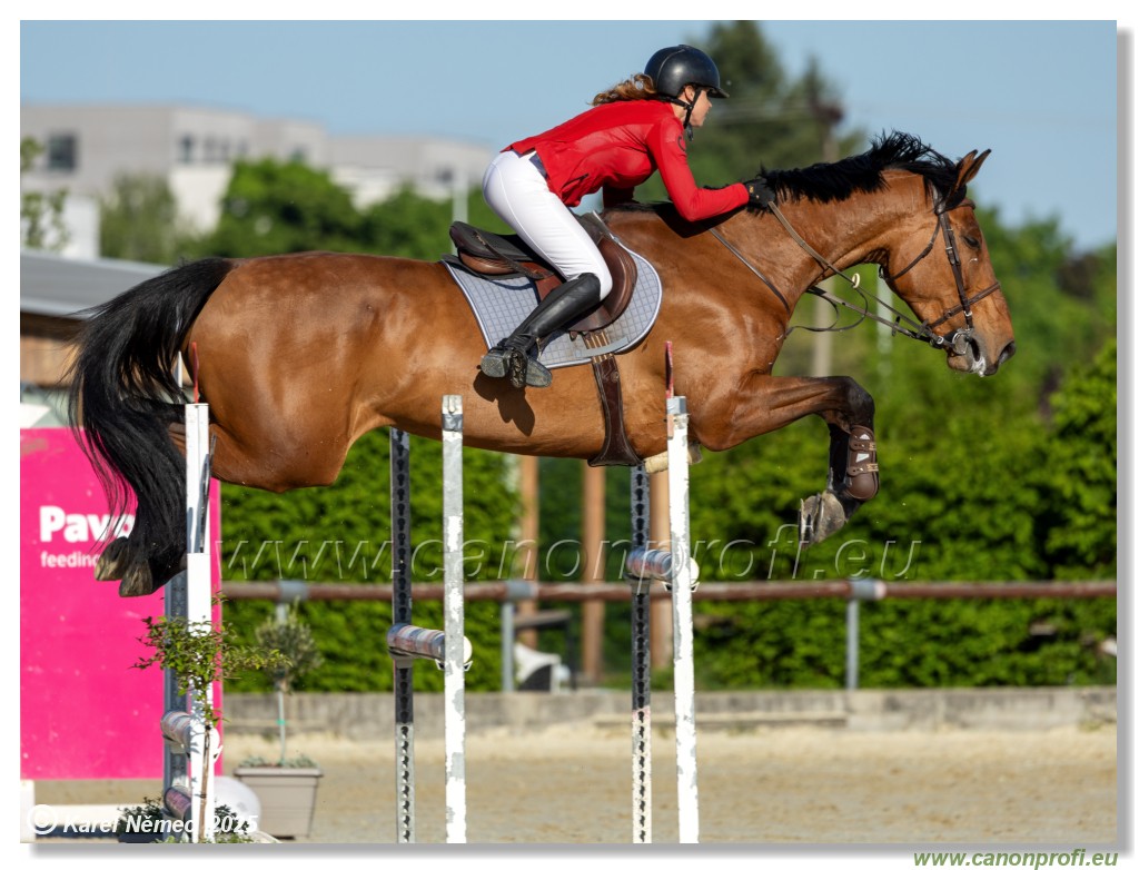 Roz�lka Grand Prix 2025 - 1. kolo  -  130cm