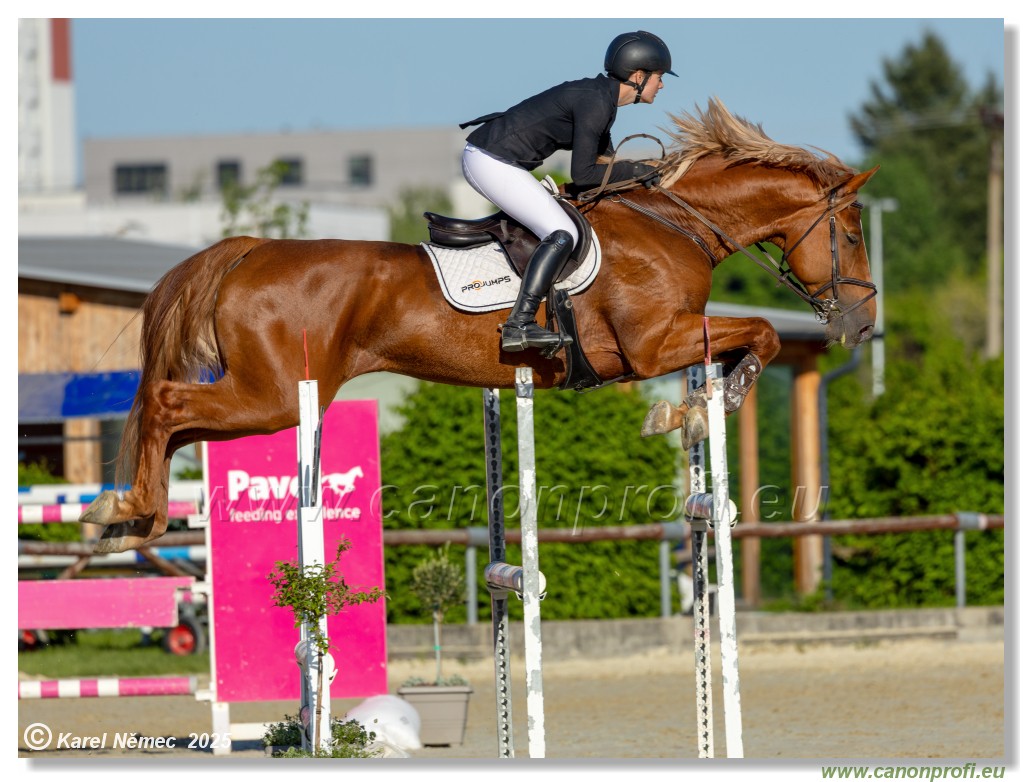 Roz�lka Grand Prix 2025 - 1. kolo  -  130cm