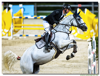 �amor�n - Danube Champions Tour Week 1