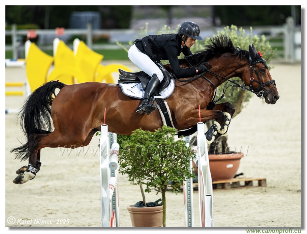 �amor�n - Danube Champions Tour Week 1