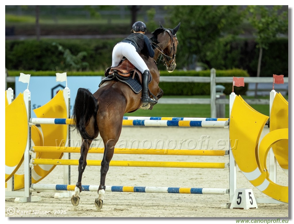 �amor�n - Danube Champions Tour Week 1