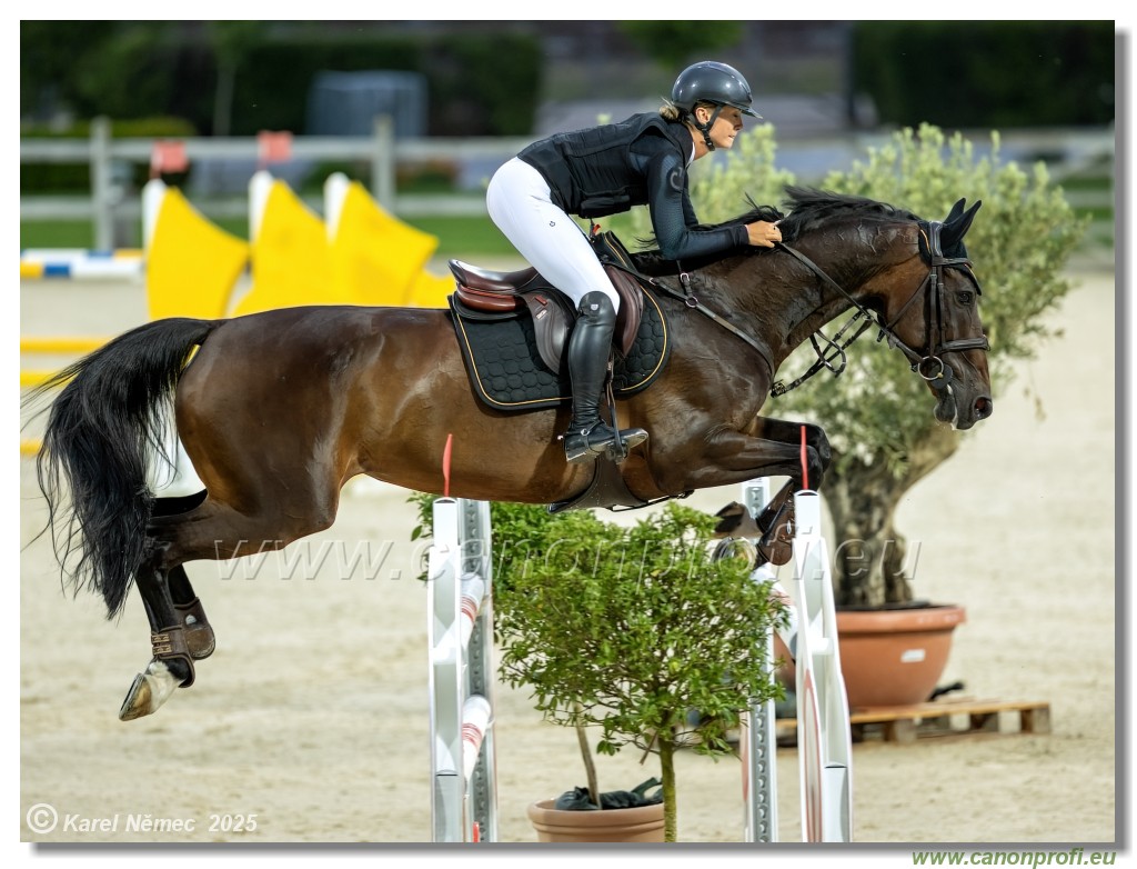 �amor�n - Danube Champions Tour Week 1