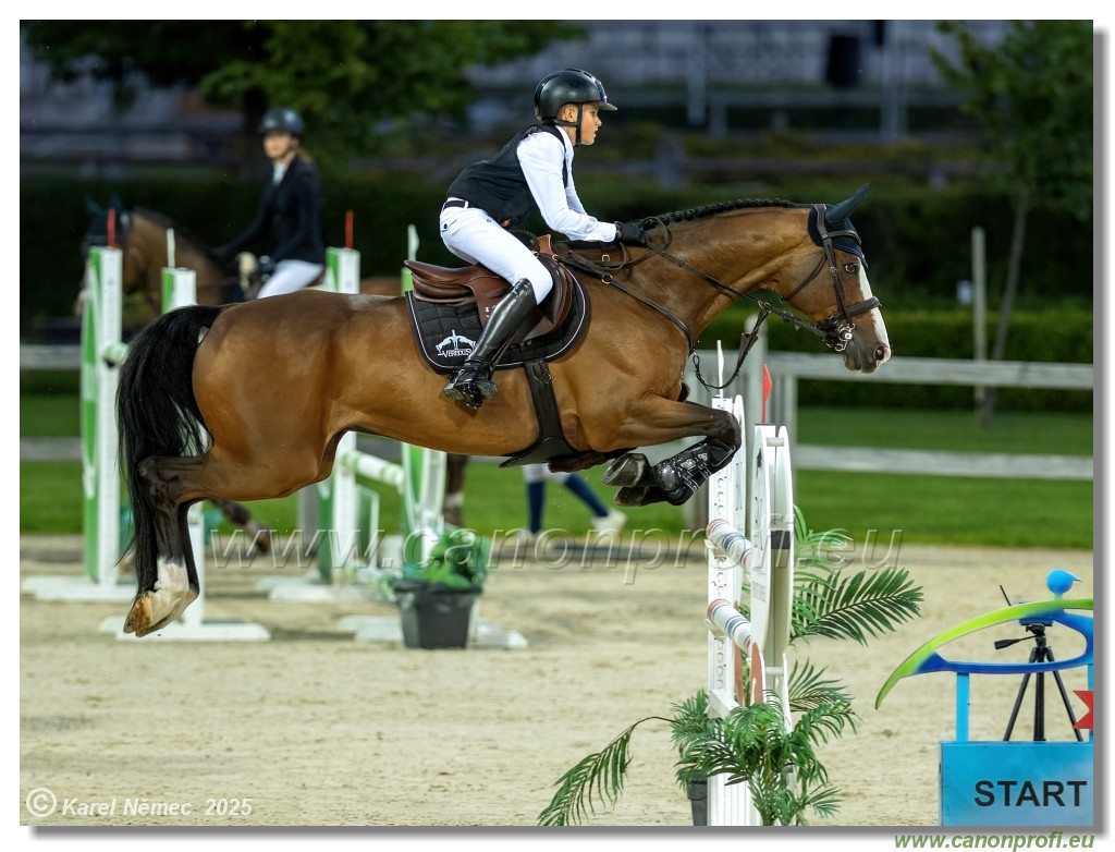 �amor�n - Danube Champions Tour Week 1