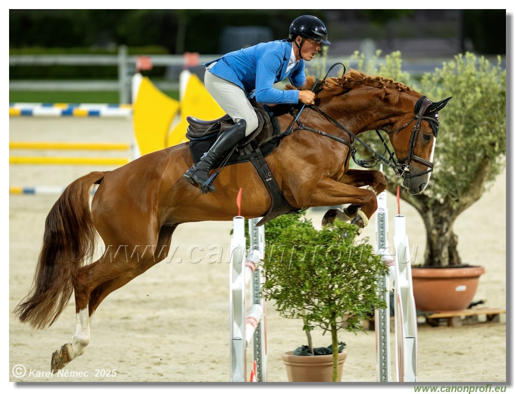 �amor�n - Danube Champions Tour Week 1