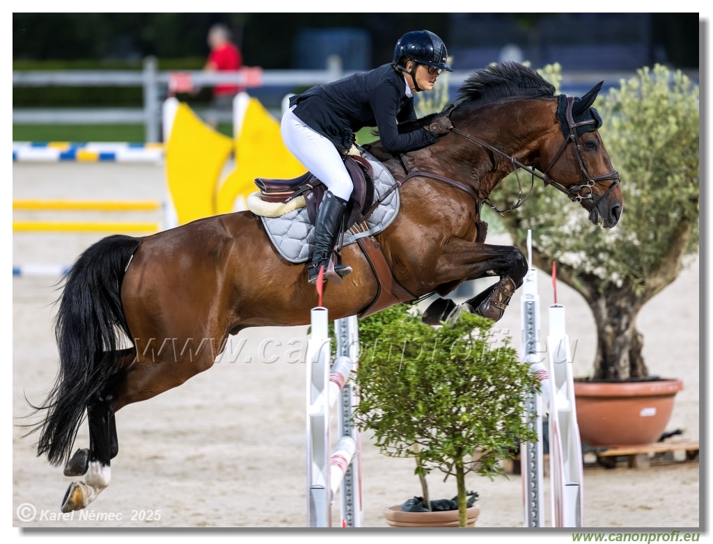 �amor�n - Danube Champions Tour Week 1