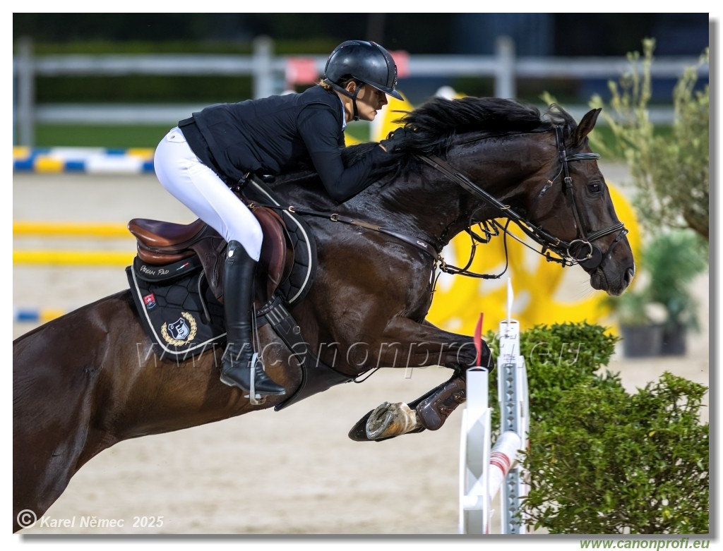 �amor�n - Danube Champions Tour Week 1