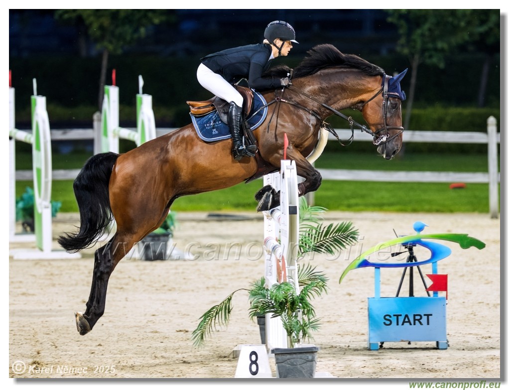 �amor�n - Danube Champions Tour Week 1