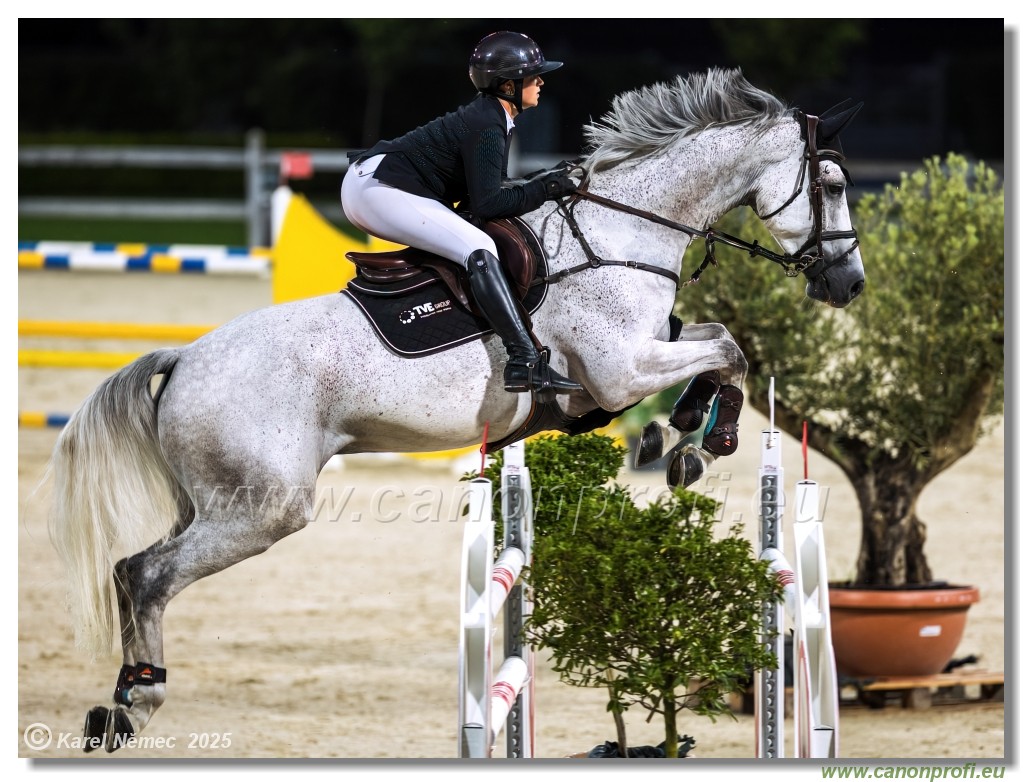 �amor�n - Danube Champions Tour Week 1