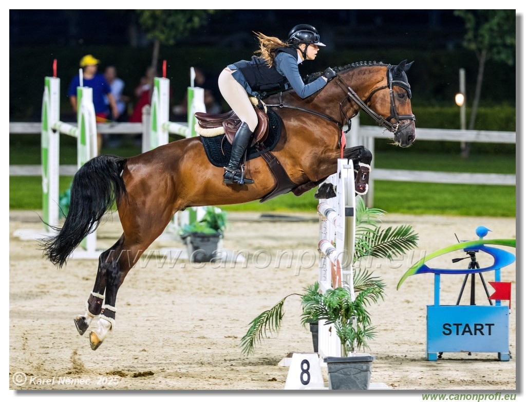 �amor�n - Danube Champions Tour Week 1