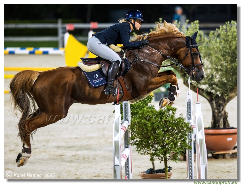 �amor�n - Danube Champions Tour Week 1