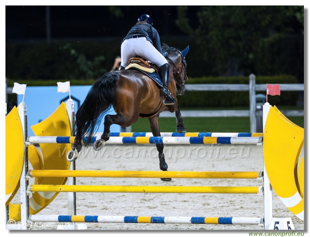 �amor�n - Danube Champions Tour Week 1