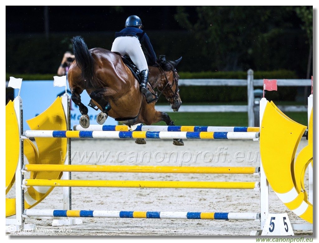 �amor�n - Danube Champions Tour Week 1