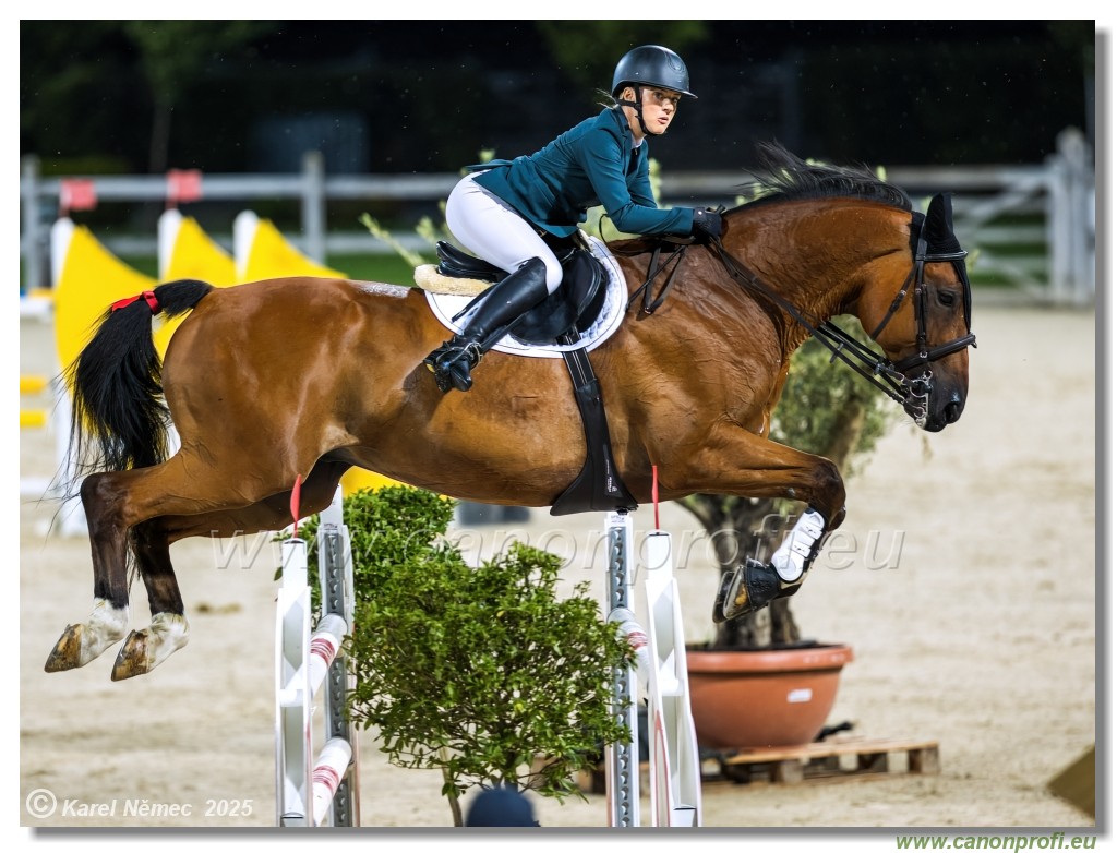 �amor�n - Danube Champions Tour Week 1