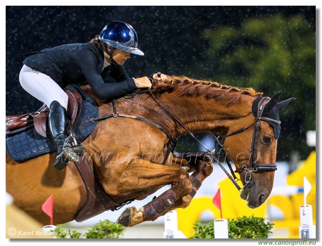 �amor�n - Danube Champions Tour Week 1