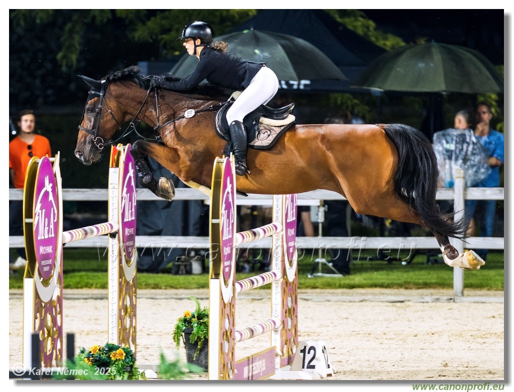 �amor�n - Danube Champions Tour Week 1