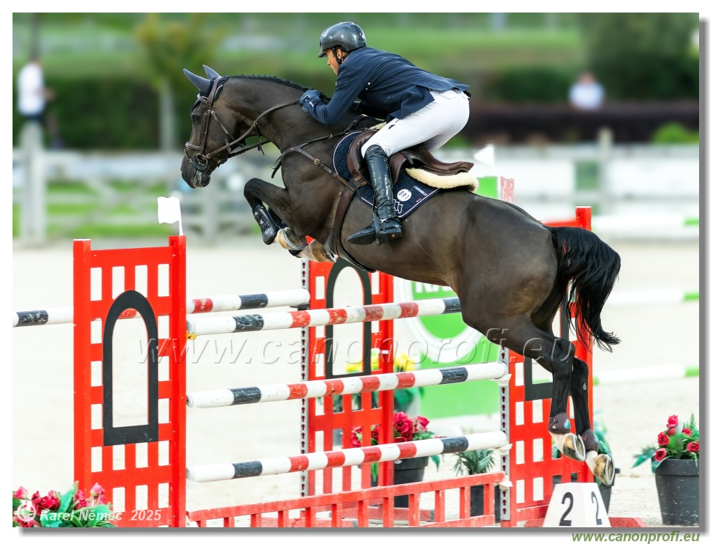 �amor�n - Danube Champions Tour Week 2