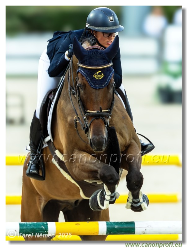 �amor�n - Danube Champions Tour Week 2