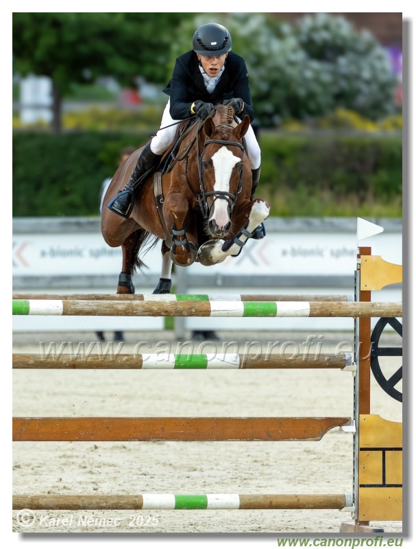 �amor�n - Danube Champions Tour Week 2