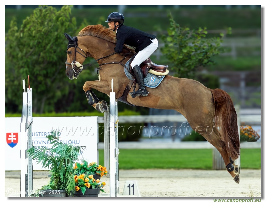 �amor�n - Danube Champions Tour Week 2