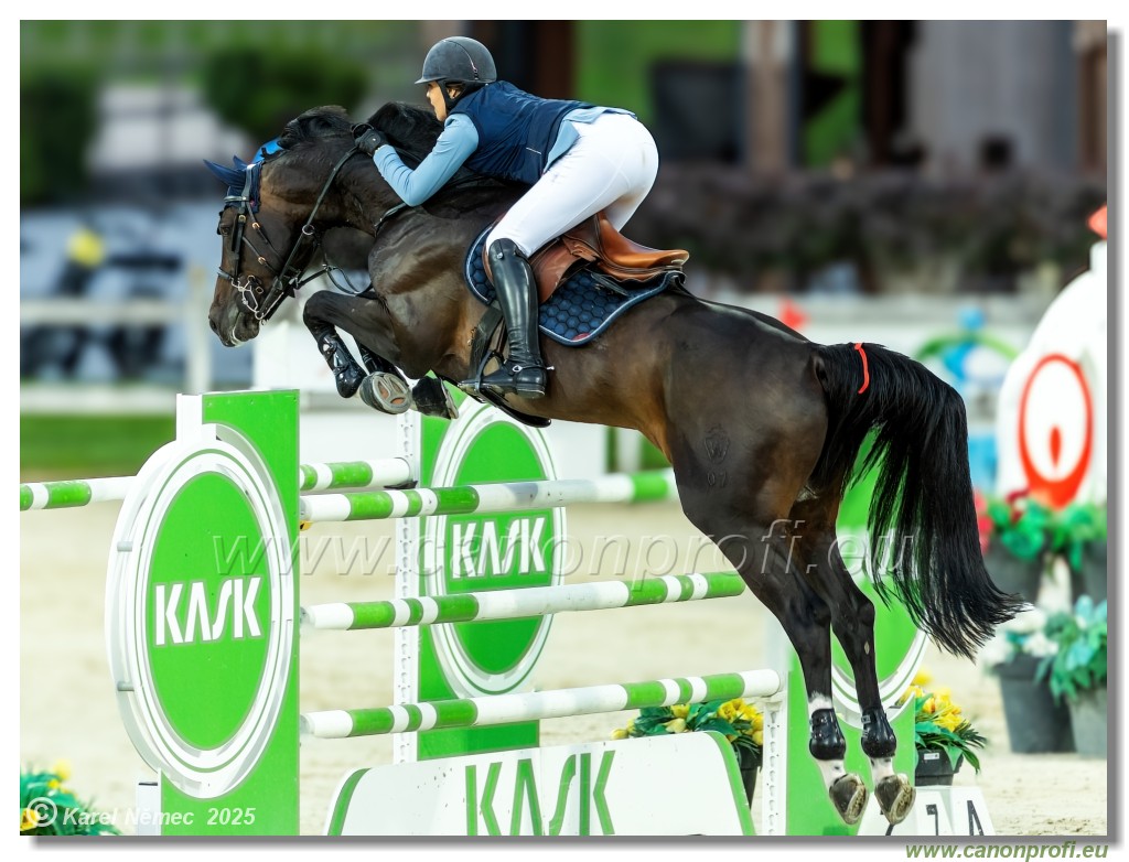 �amor�n - Danube Champions Tour Week 2