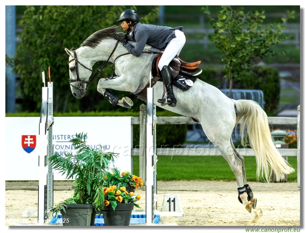 �amor�n - Danube Champions Tour Week 2