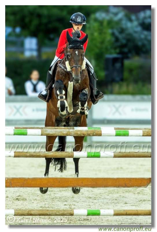 �amor�n - Danube Champions Tour Week 2