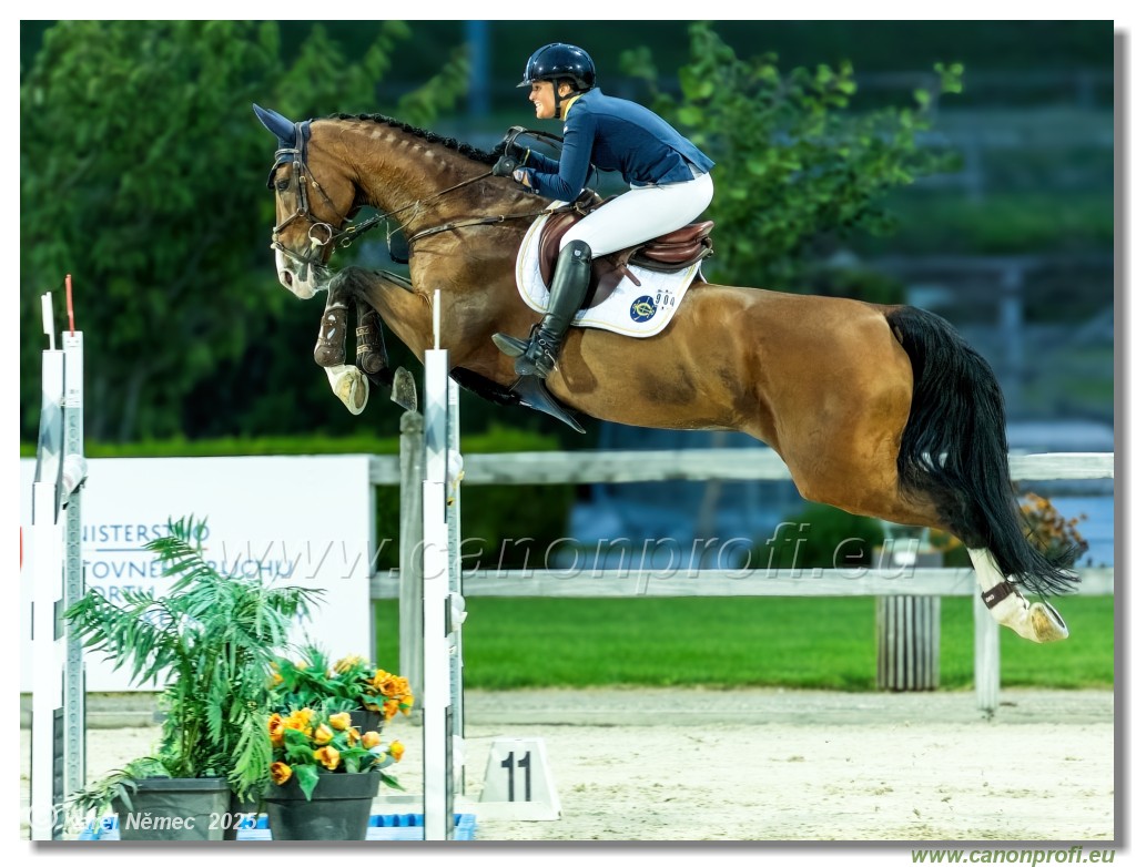 �amor�n - Danube Champions Tour Week 2