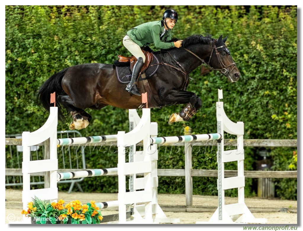 �amor�n - Danube Champions Tour Week 2