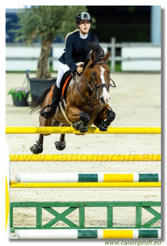 �amor�n - Danube Champions Tour Week 2