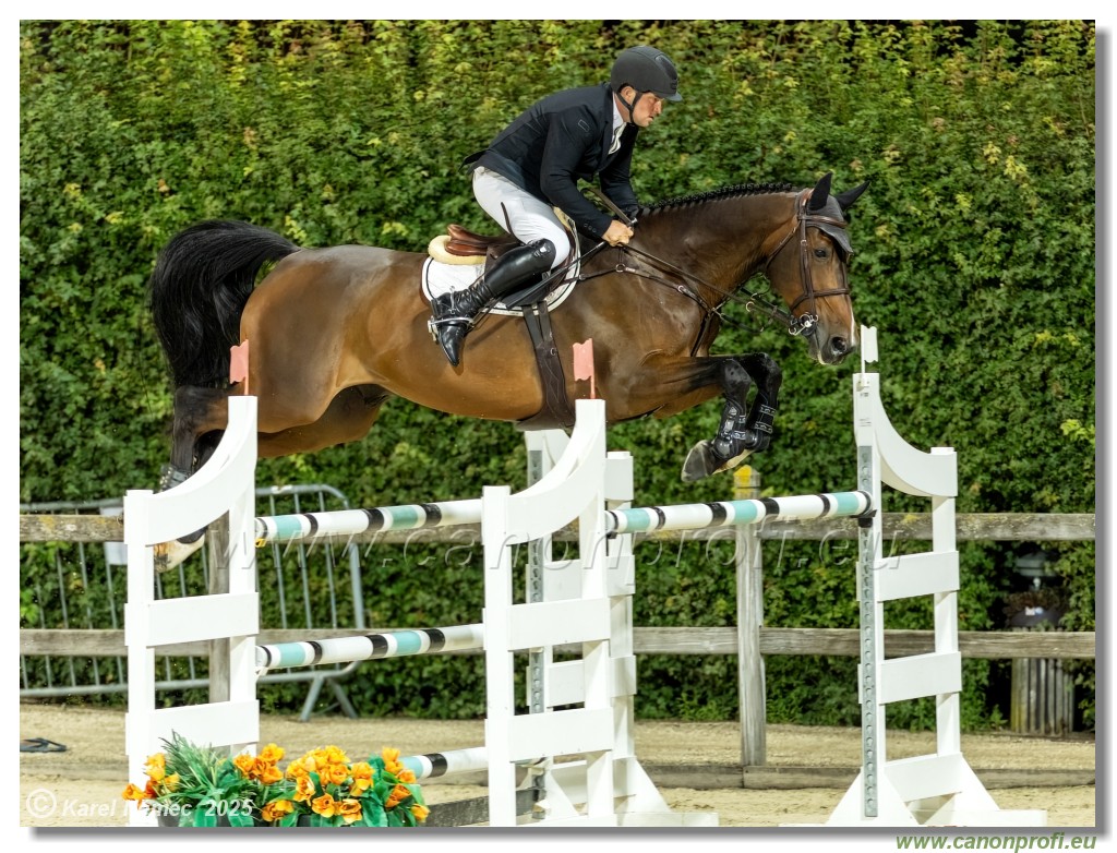 �amor�n - Danube Champions Tour Week 2