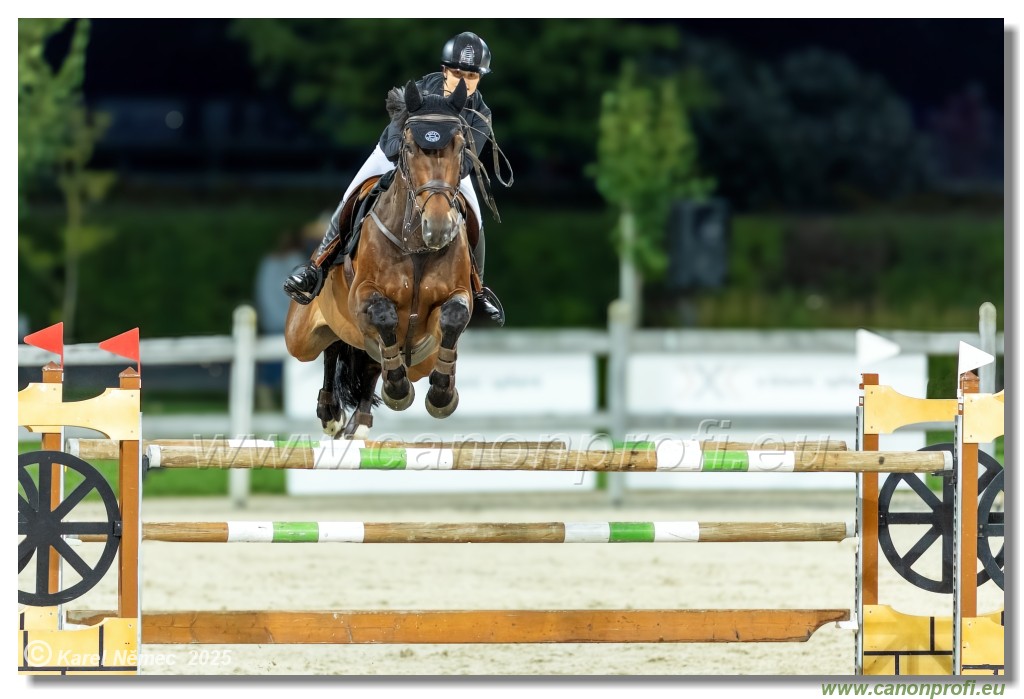 �amor�n - Danube Champions Tour Week 2