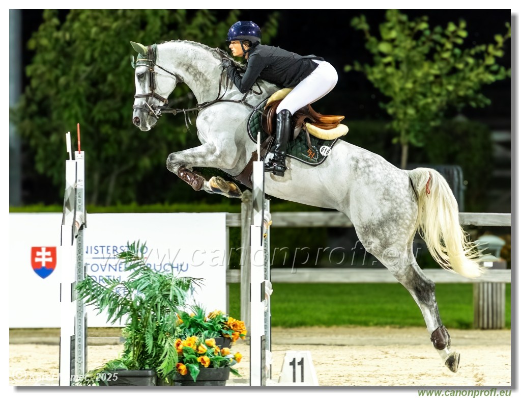 �amor�n - Danube Champions Tour Week 2