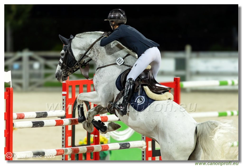 �amor�n - Danube Champions Tour Week 2