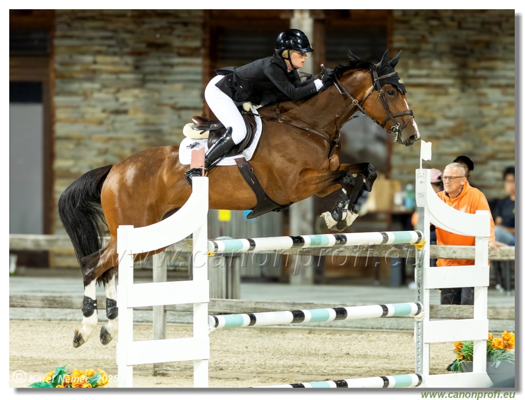 �amor�n - Danube Champions Tour Week 2