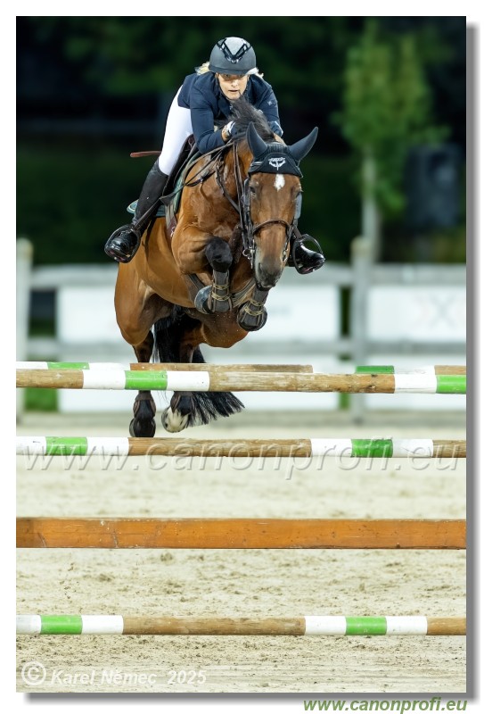 �amor�n - Danube Champions Tour Week 2